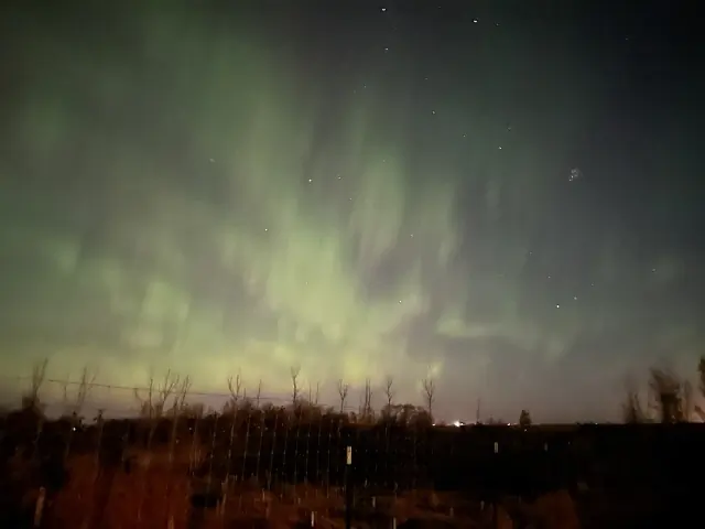 Aurora borealis in the night sky above Alaska