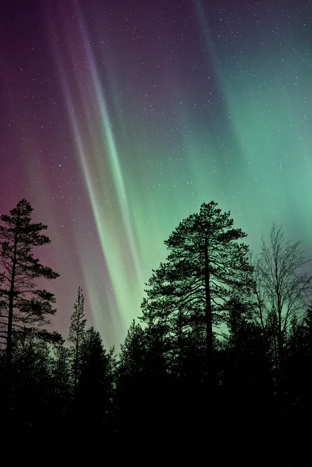 Aurora borealis in the night sky above Canada