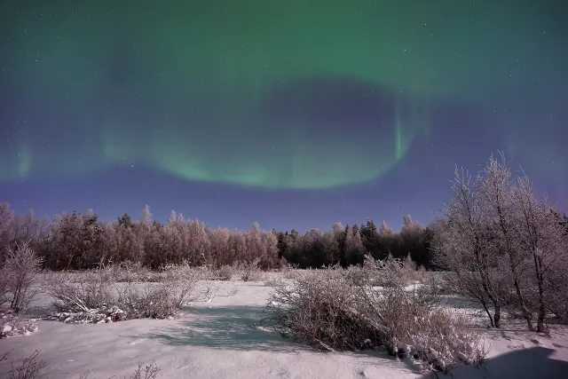 Aurora borealis in the night sky above Canada