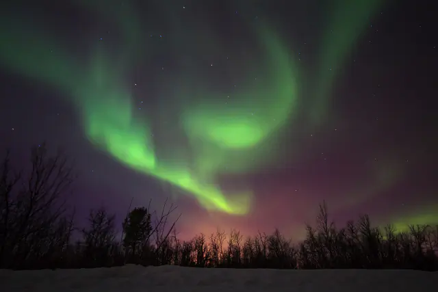 Aurora borealis in the night sky above Scotland