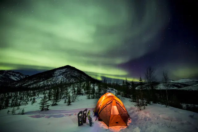 Aurora borealis in the night sky above Canada