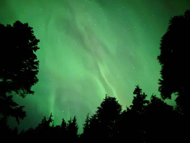 Aurora borealis in the night sky above Canada