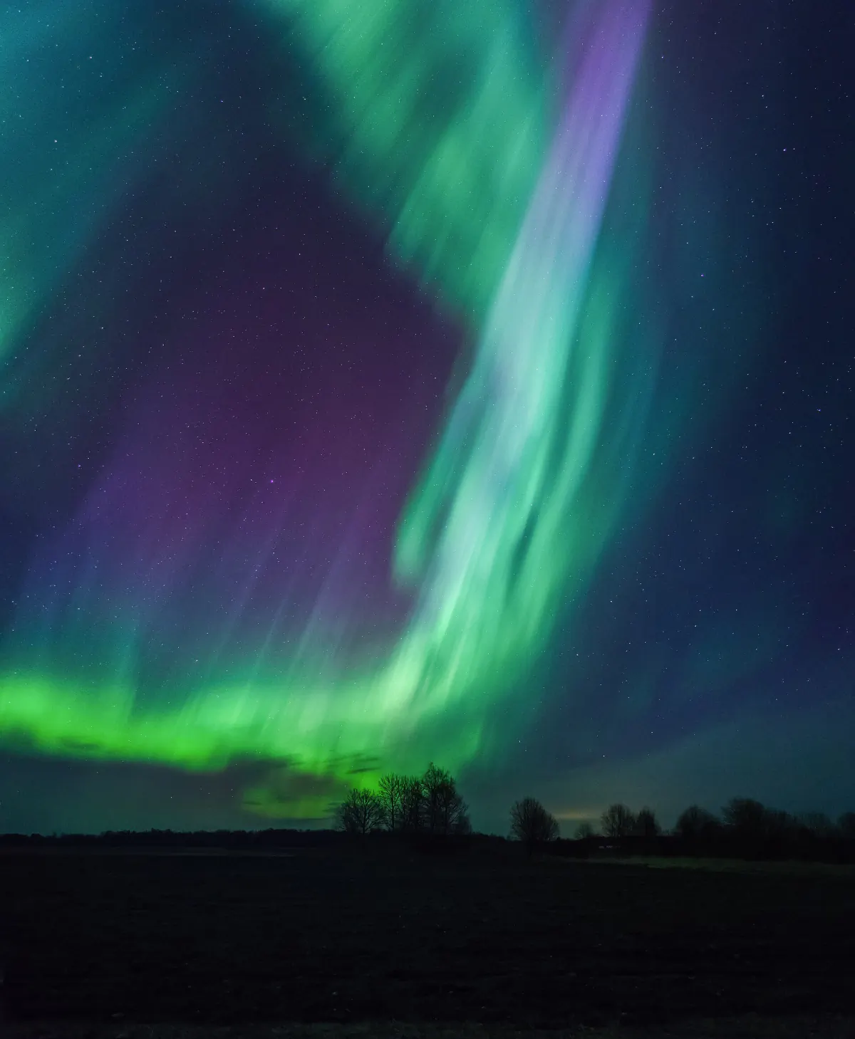 Green aurora banding across the night sky over Estonia